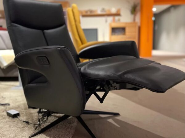 Relaxsessel in Leder Sale